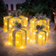Golden Gleam Gift Box Set