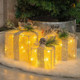 Golden Gleam Gift Box Set