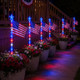 Freedom Flag Light