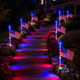 Freedom Flag Light