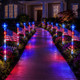 Freedom Flag Light