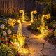 Enchanted Watering Can