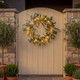 Enchanted Olive Wreath