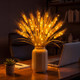 Golden Harvest Light