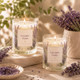 Lavender Fields Candle