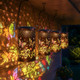 Fluttering Fantasy Dream Lantern