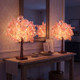 Cherry Blossom Glow Tree
