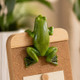 Bloom Buddy Frog