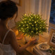 Enchanted Evergreen Pine