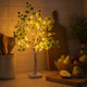 Evergreen Birch Tree