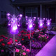 Purple Pixie Light