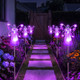 Purple Pixie Light