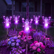 Purple Pixie Light