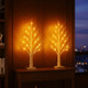 Enchanted Birch Tree