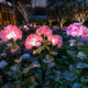 Fairy Hydrangea Lights