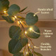 Fairy Light Olive Vine