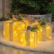 Golden Gleam Gift Box Set