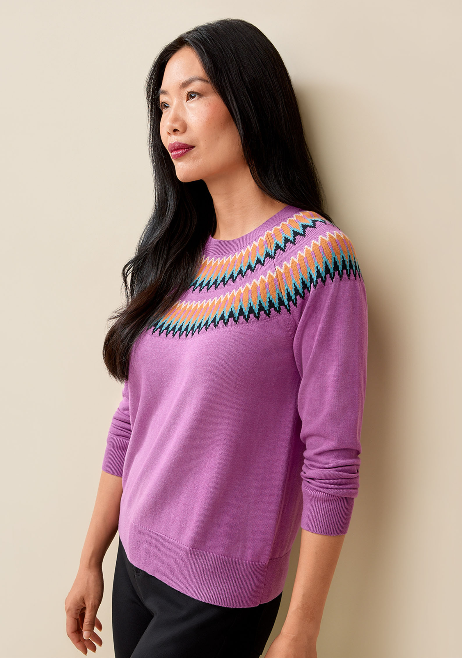 Fairisle Crewneck Sweater Half Body