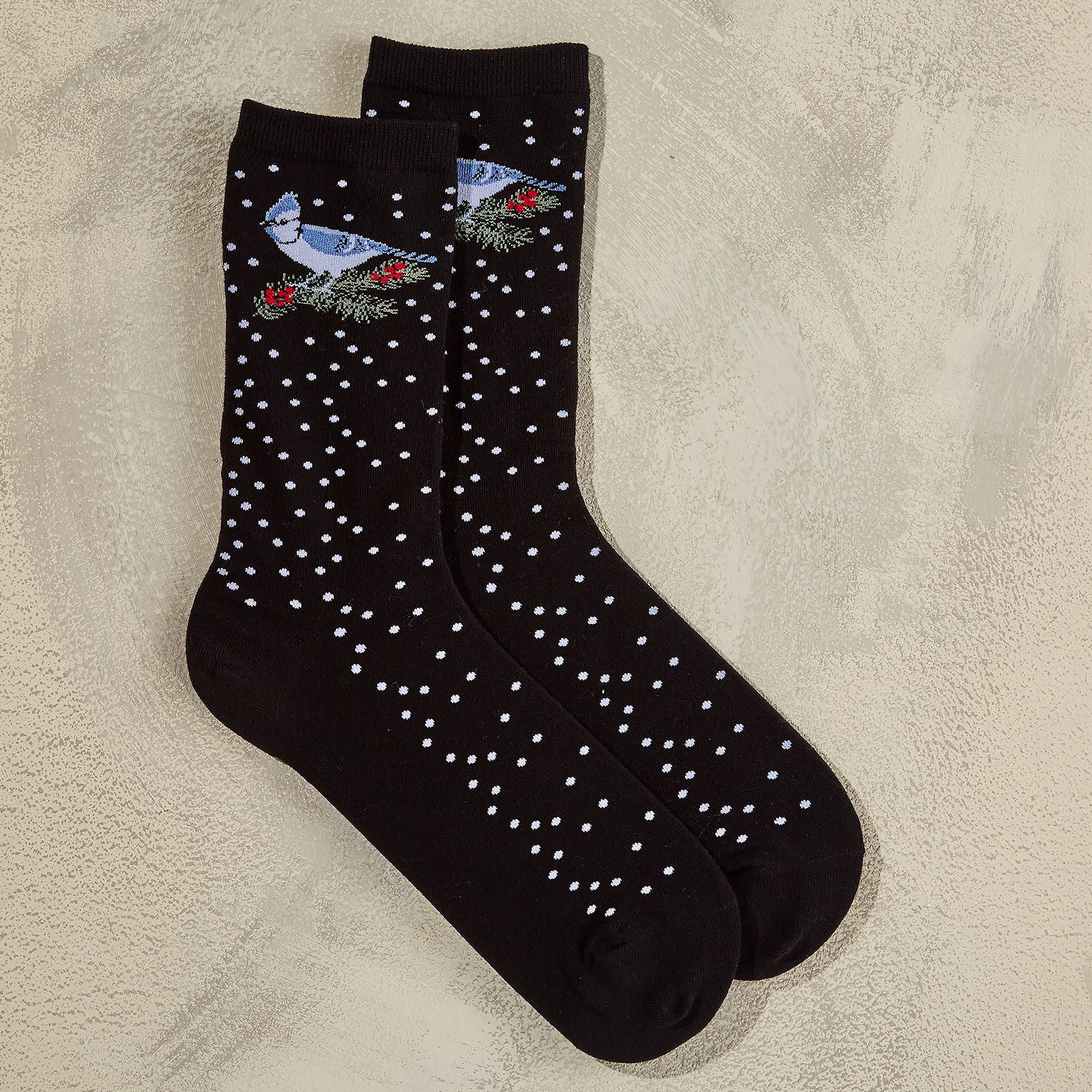 Blue Jay and Dots
