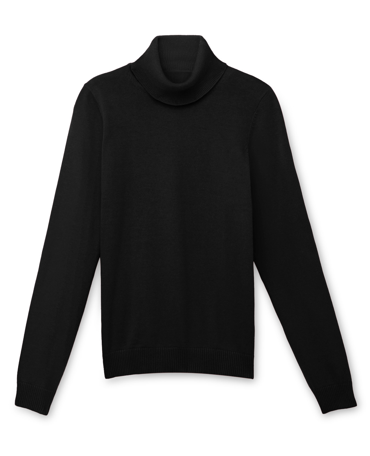 Front View of Jersey Knit Turtleneck Sweater
