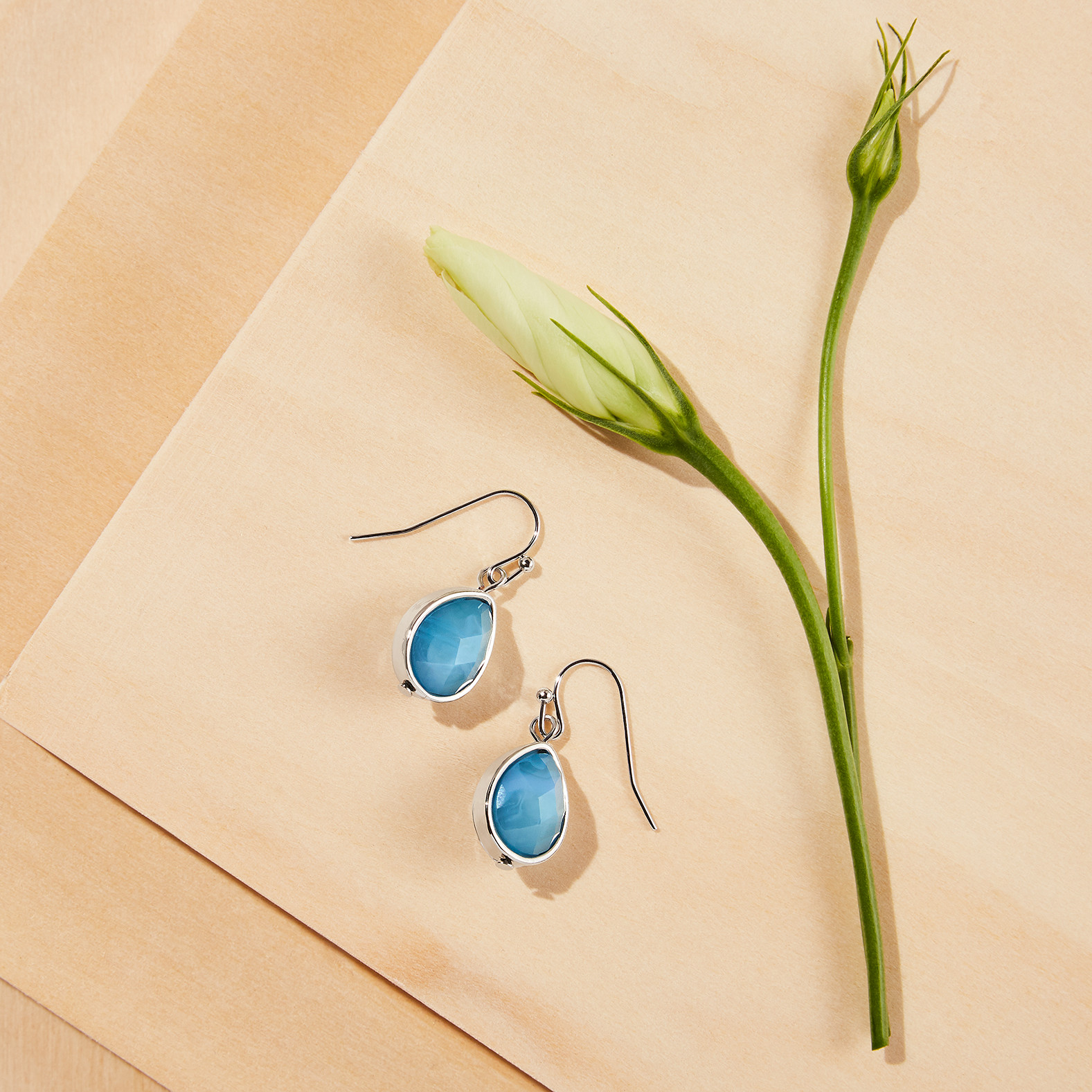 Oval Jewel Stone Earrings
