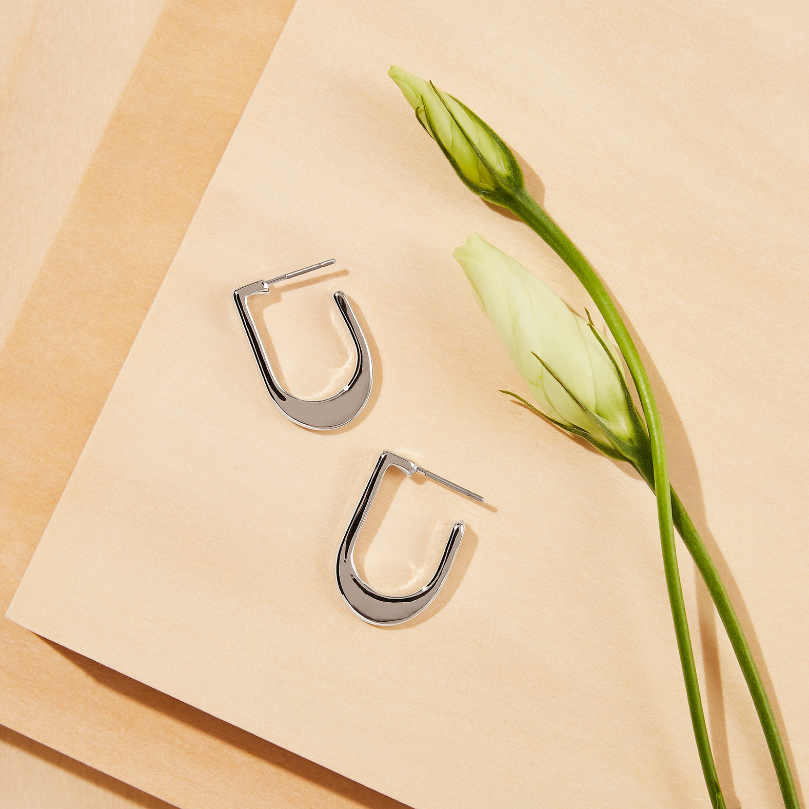 U Shaped Earrings