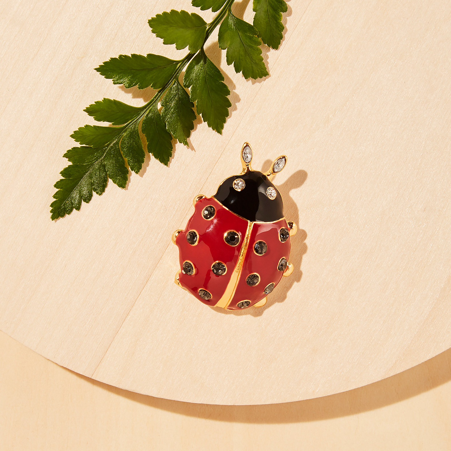 Ladybug Pin