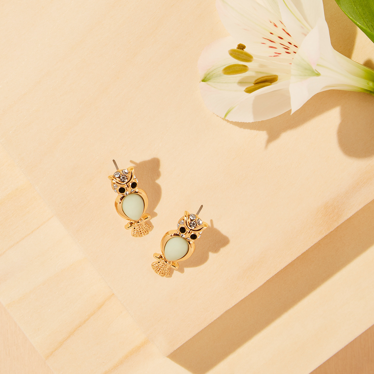 Owl Earrings