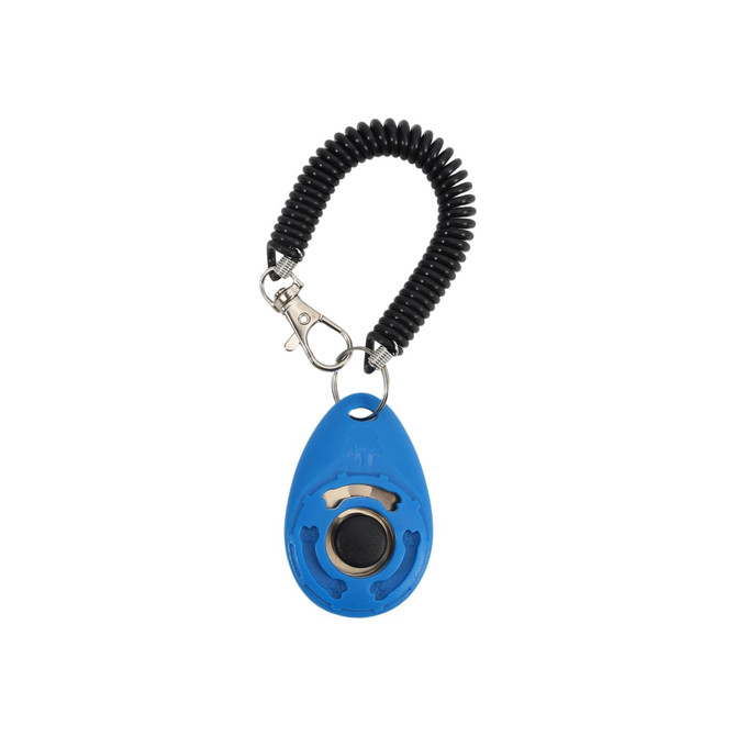 A blue pet training clicker attached to a black coiled lanyard with a clasp.
