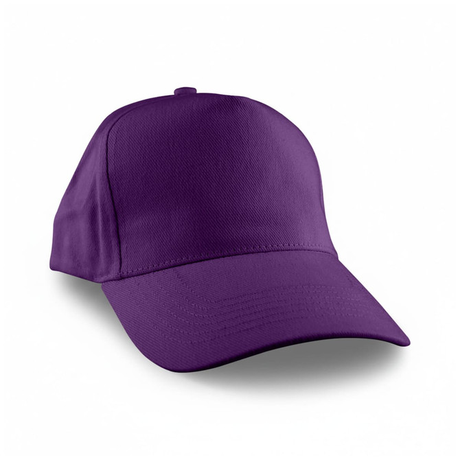A purple cap with a structured front and curved brim, featuring a logo on the side.