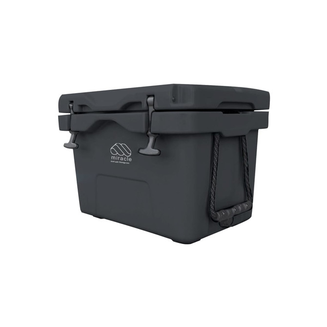 A 25L cooler box in dark grey with a logo and side handles for easy transport.