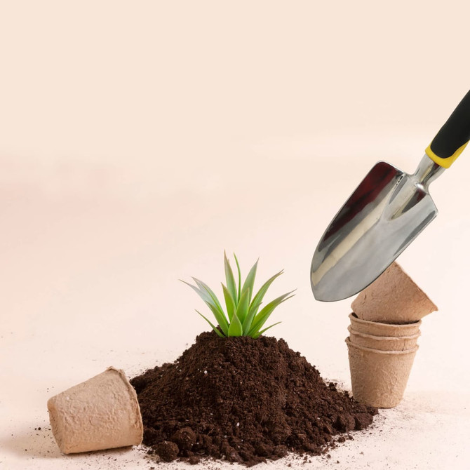A garden hand tool set featuring a shiny metal trowel, with a potted plant and soil in the background.