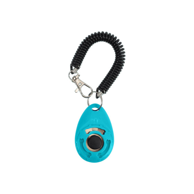 A teal pet training clicker attached to a black coiled lanyard with a clip for convenience.
