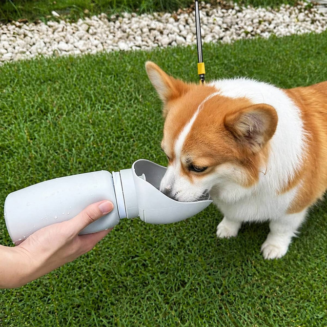 A drink bottle in grey, featuring a collapsible bowl for dogs, held near a corgi on grass.