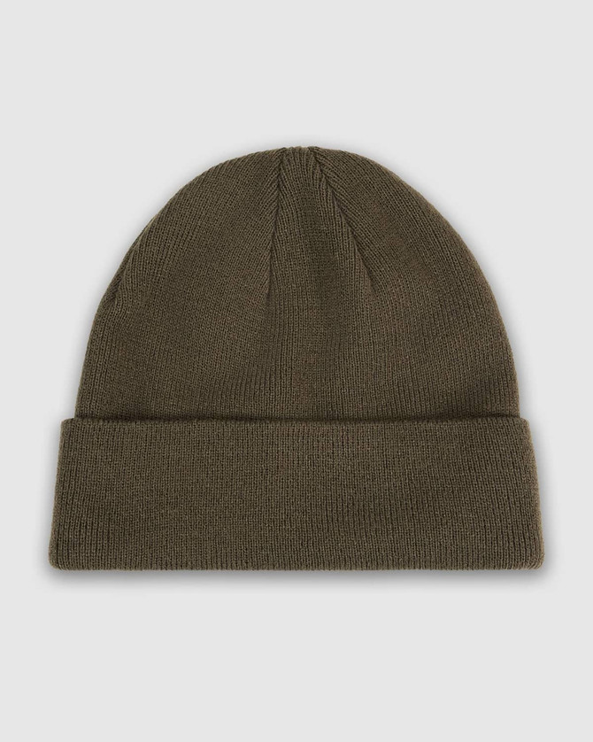 A green watch cap with a rolled cuff, featuring a simple design and a logo.