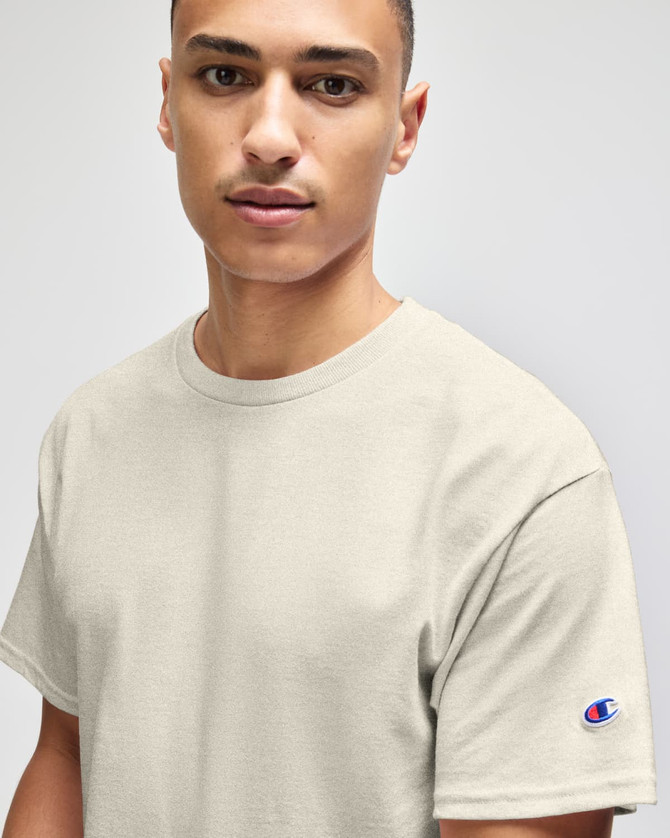 A light grey short sleeve t-shirt with a logo on the sleeve, designed for adults.