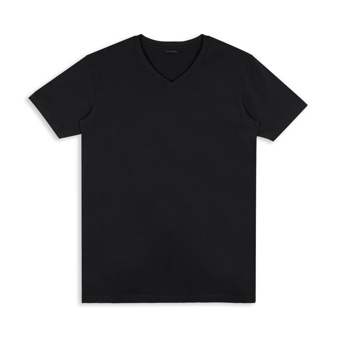 A black V-neck men's T-shirt with a plain design and a logo on the label.