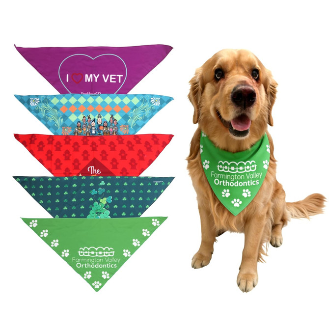 A collection of triangular pet bandanas in various colours, including green, red, blue, and purple, with a dog wearing one.