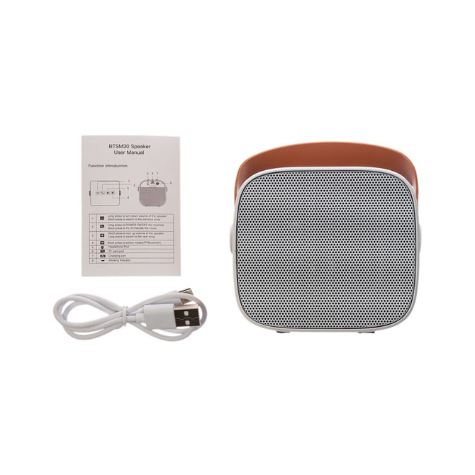 A compact Boombox Mini Speaker with a sleek design, accompanied by a user manual and a USB charging cable.