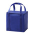 A blue insulated cooler bag with two handles and a zippered top. Features a simple, solid design.