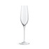 A clear glass champagne flute with a tall, slender design and a sturdy base, featuring a simple logo.