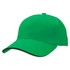A green cap with a curved brim and a logo, featuring a contrasting lining along the brim.