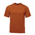 A rust-coloured men's T-shirt with a regular fit and short sleeves, featuring a logo.