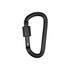A black D-shaped screw lock keychain with a textured locking mechanism and a smooth curved body.