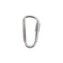 A silver D-shaped camping carabiner with a screw lock mechanism and a smooth finish.