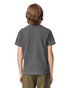 A youth short sleeve t-shirt in a dark grey colour, featuring a logo on the back.