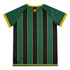 A green and black striped sports jersey with gold accents and a logo on the back.