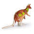 A wooden kangaroo model in brown and green, featuring a small joey, designed as a novelty item.