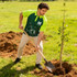 A man wearing a green and navy RPET sublimated raglan polo shirt plants a young tree in the ground.