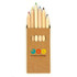 A set of six coloured pencils in a cardboard holder featuring a logo on the front. Pencils include red, blue, yellow, and green.